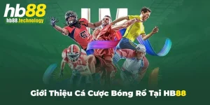 Giới thiệu về bộ môn cá cược bóng rổ tại HB88